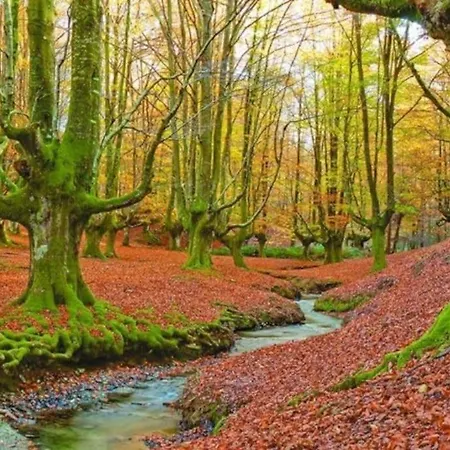 I By Aston Apartment Bakio